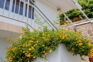 le manglier guest house