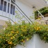 le manglier guest house