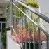 le manglier guest house