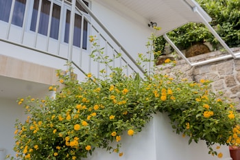 le manglier guest house
