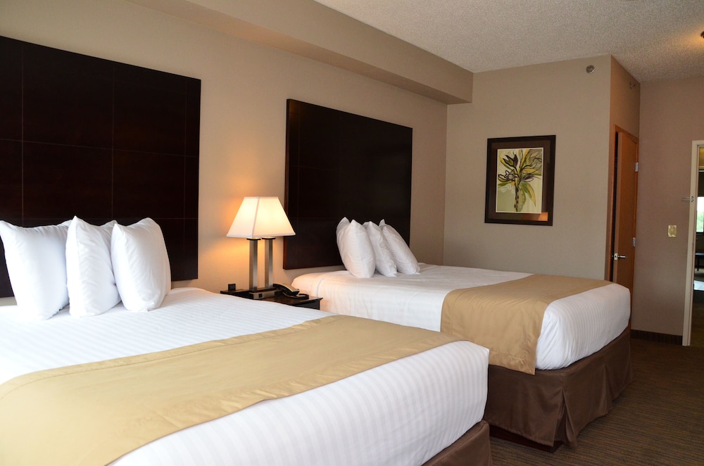 qube hotel