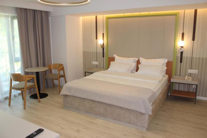 hotel anina