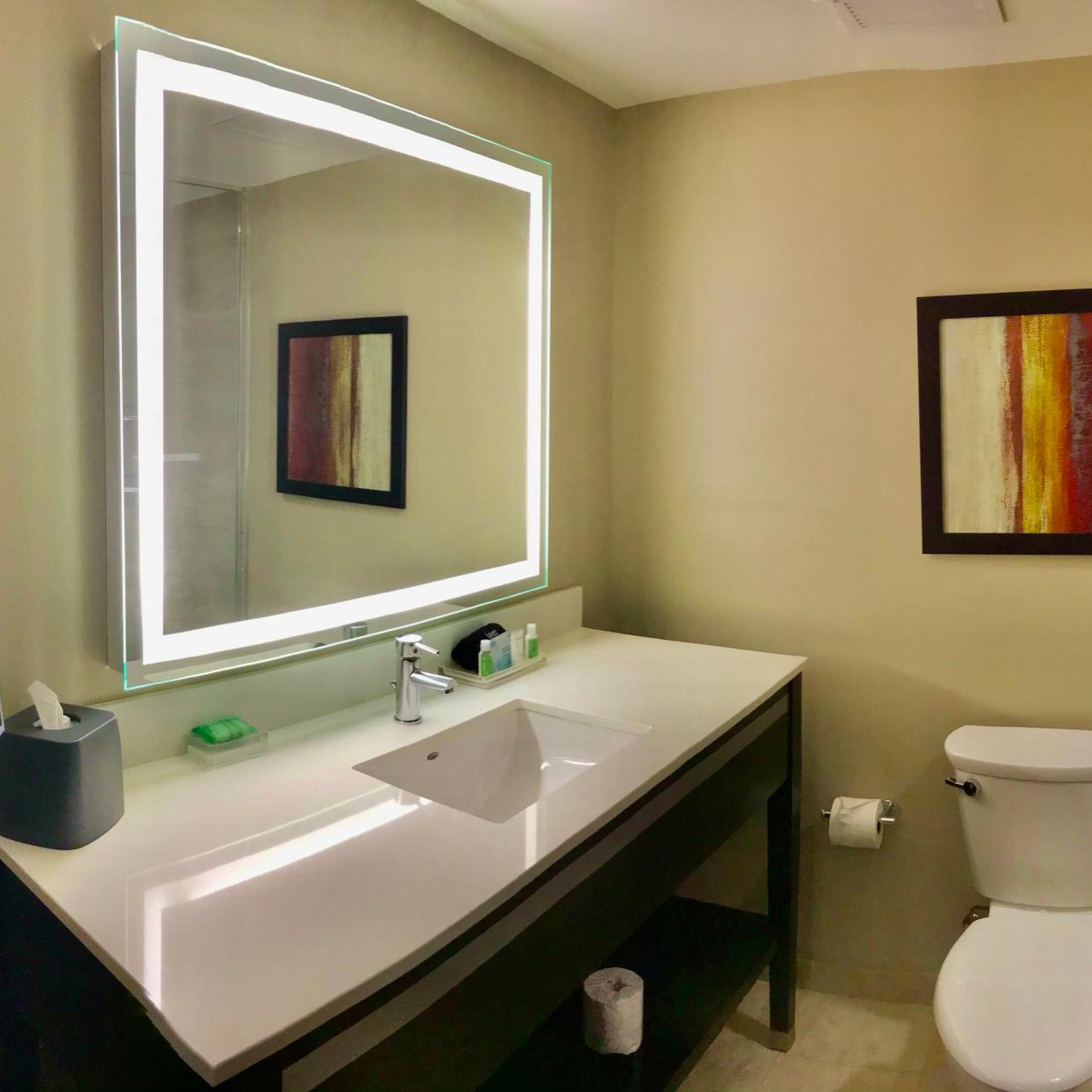 holiday inn chicago schaumburg by ihg