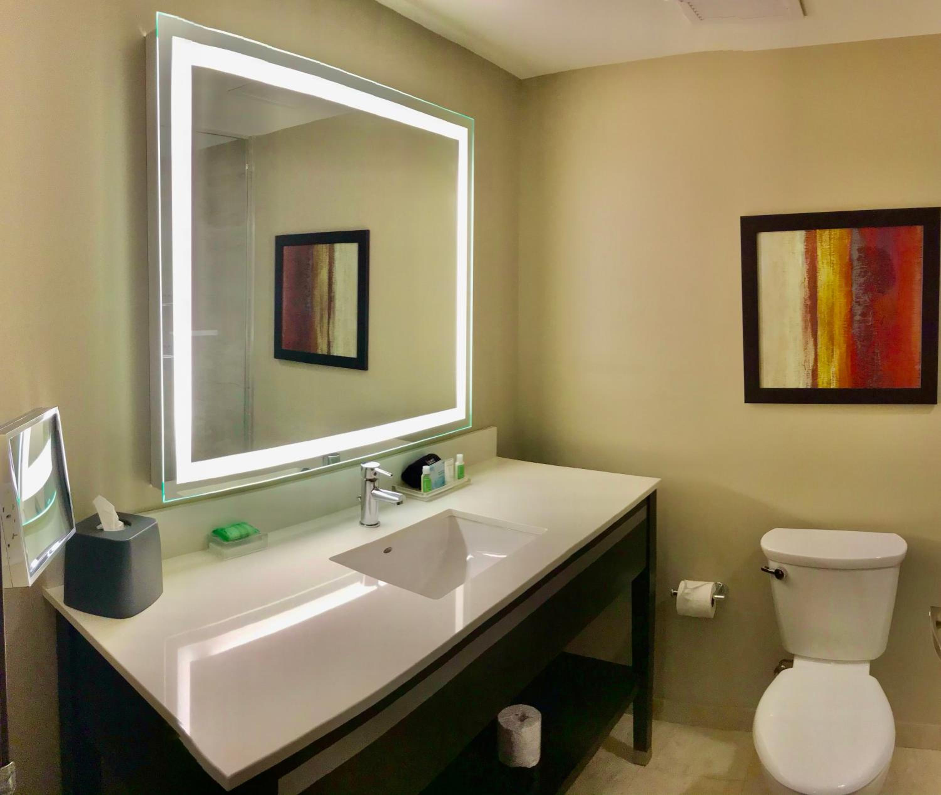 holiday inn chicago schaumburg by ihg