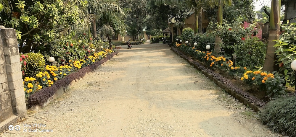 sauraha