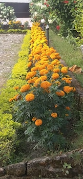 gorkha hamlet resort