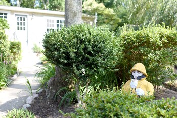 sandwich inn and suites