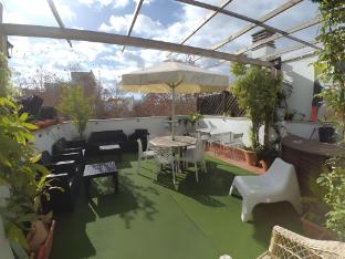 the spot central hostel