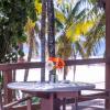 sambass lounge beach cafe and pousada