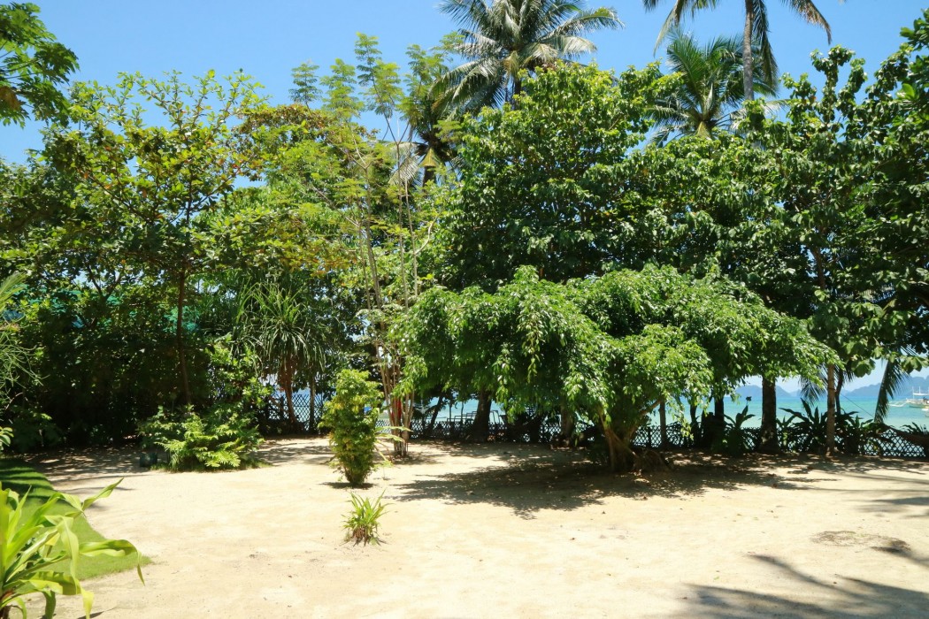 el nido mahogany beach