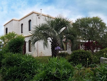 la paloma