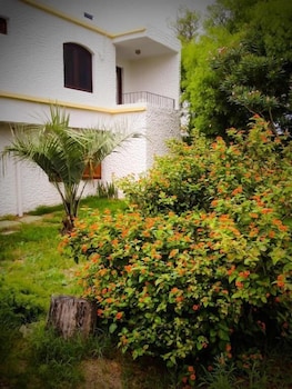 la paloma