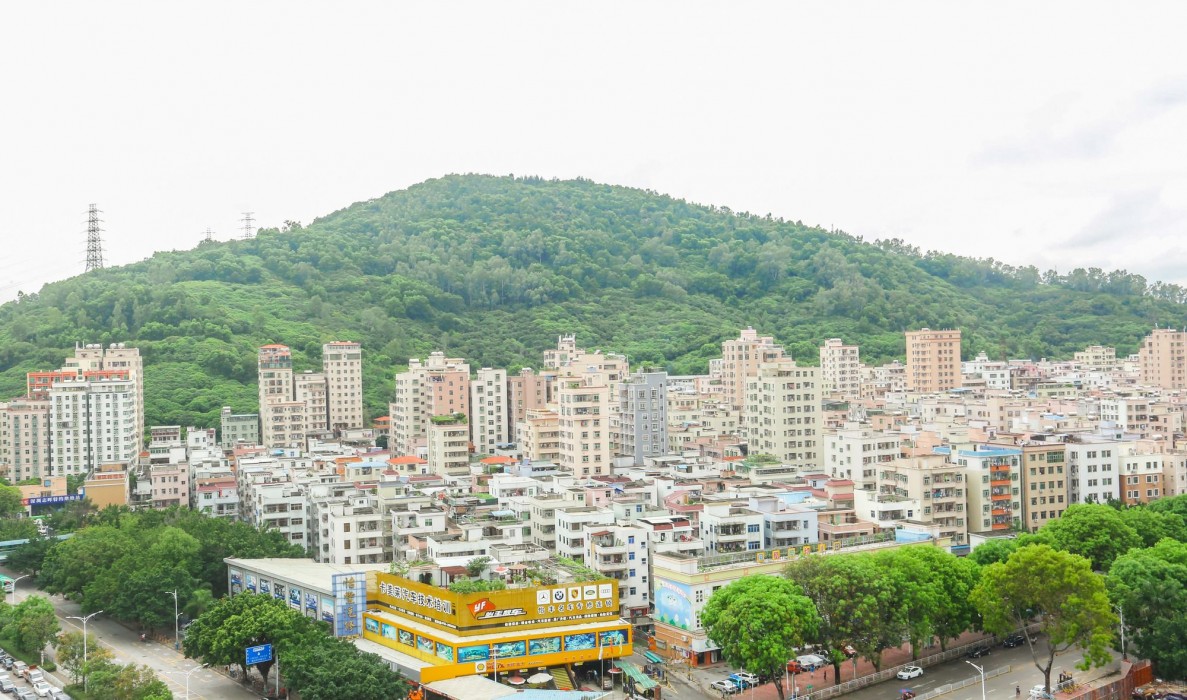 dayhello international hotel