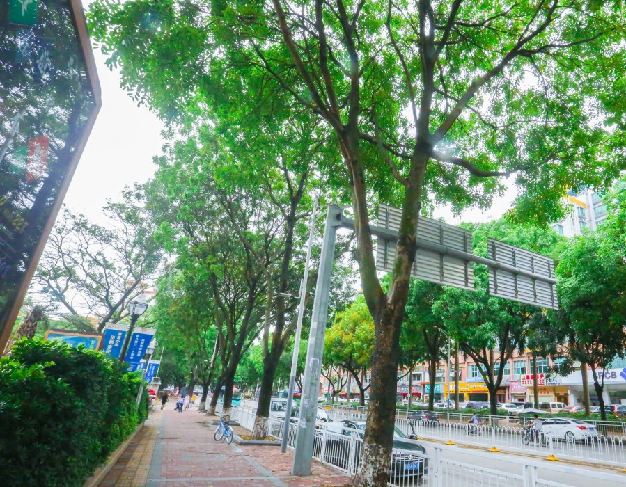 dayhello international hotel