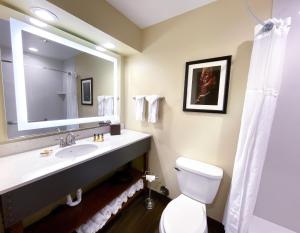 best western plus inn of williams