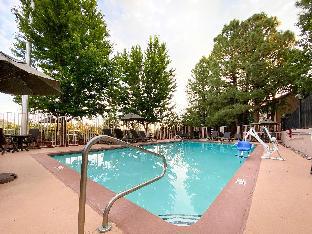 best western plus inn of williams