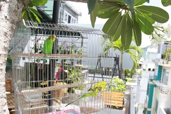 ho chi minh city