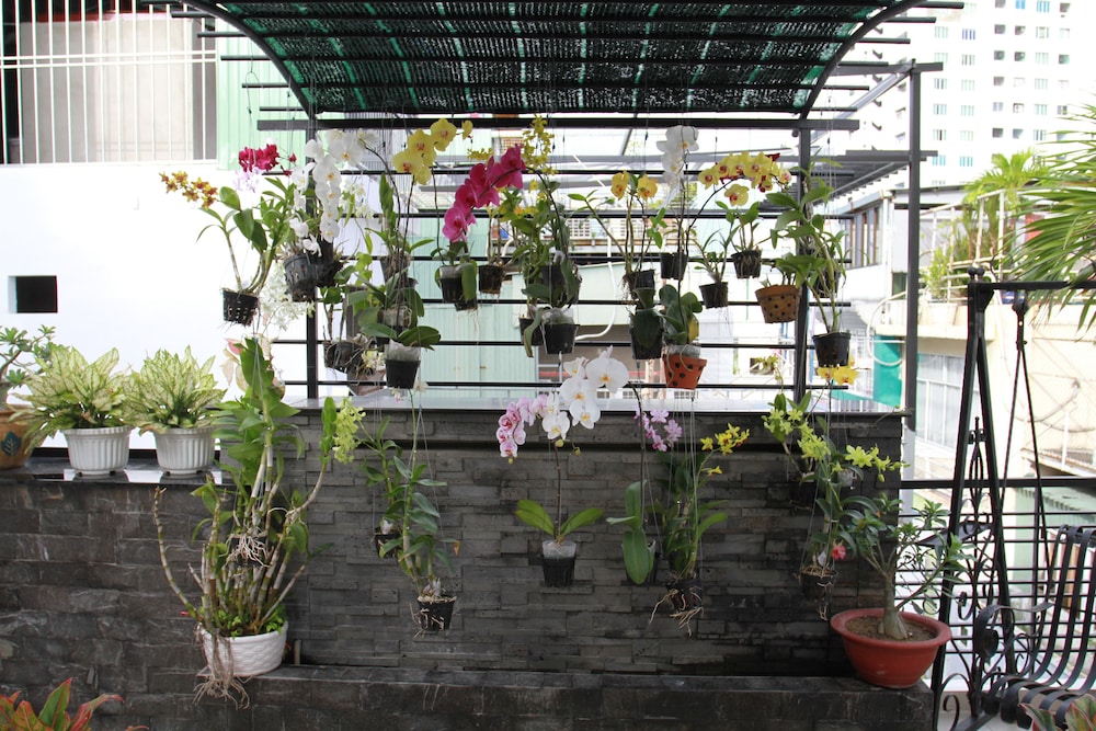 ngoc minh hotel