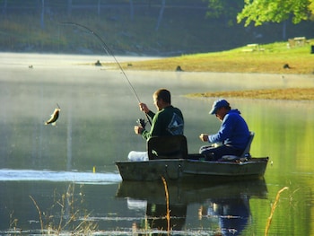 cornegliano laudense