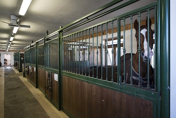 cornegliano laudense