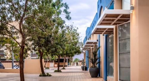 almog eilat adults only