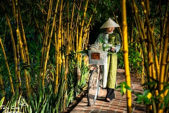 hoa lu
