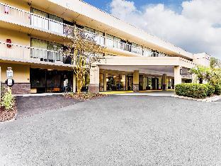 spark by hilton hilton head island