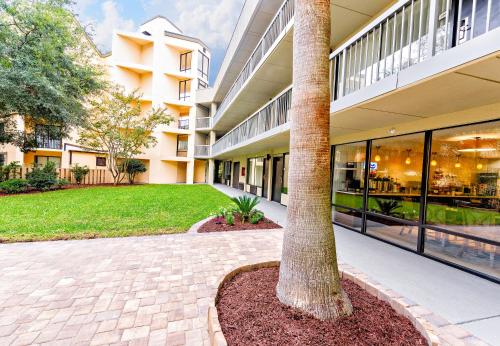 spark by hilton hilton head island