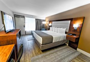 spark by hilton hilton head island