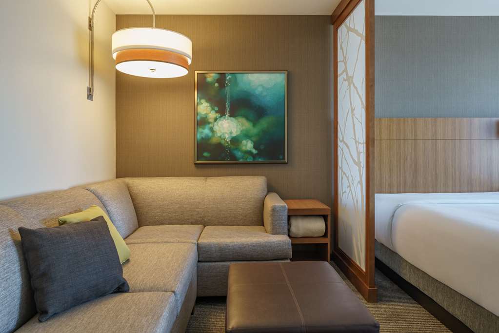 hyatt place houston galleria