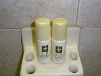 miami princess hotel