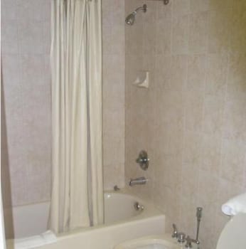 miami princess hotel