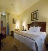 best western plus sweetwater inn and suites