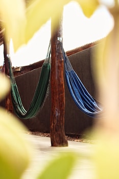pousada arvore da vida