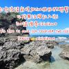 minimi inn sailrock beach house