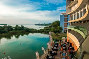 hotel on plonge junior