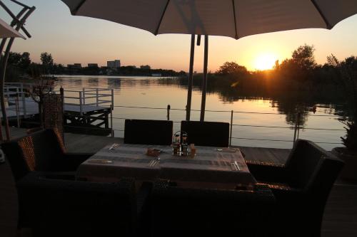 hotel on plonge junior