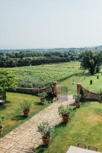 buonvisi farm srl