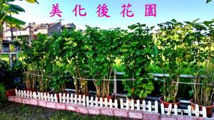 evergreen garden home