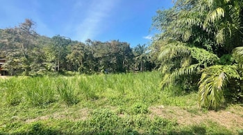 vida house krabi
