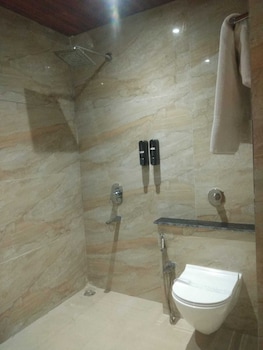 shreeja central
