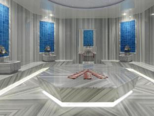 doubletree by hilton hotel istanbul tuzla