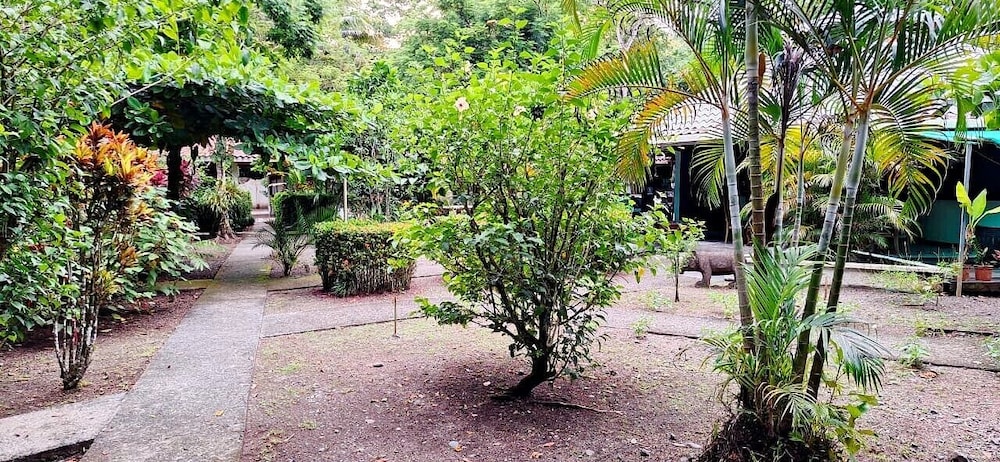 osa lodge