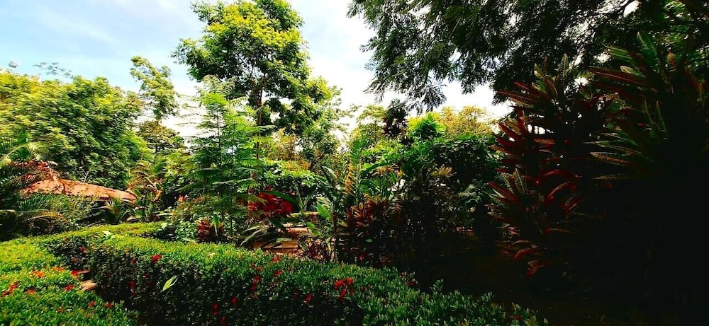 osa lodge