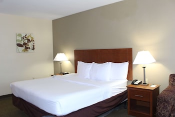 quality inn and suites