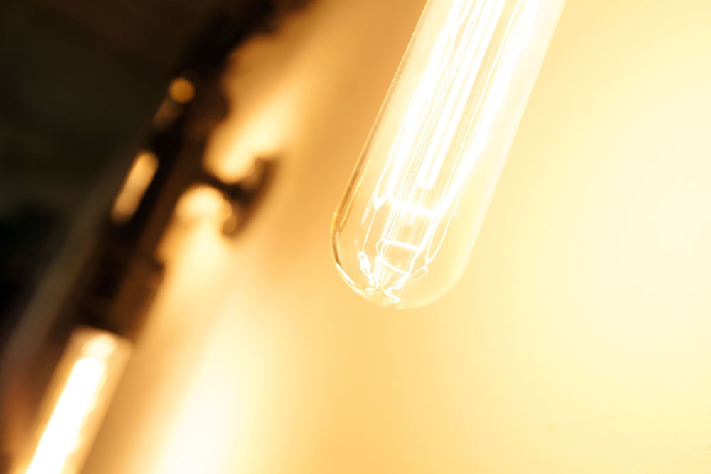 mr lobsters secret den design hostel