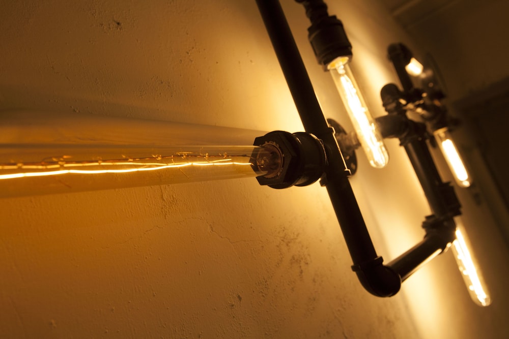 mr lobsters secret den design hostel