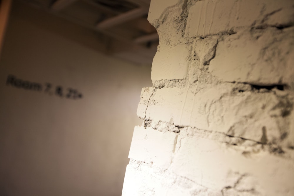 mr lobsters secret den design hostel