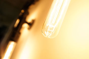 mr lobsters secret den design hostel