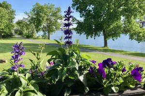 motel et appartements du fleuve